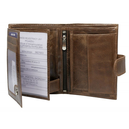 Portfel męski skórzany N4L-MVTB BROWN
