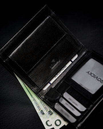 Pojemny portfel męski z naturalnej skóry licowej z ochroną RFID — Rovicky