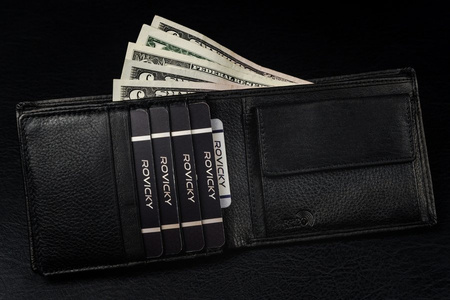 Męski portfel skórzany z tyłem zdobionym wzorem skóry węża — Pierre Andreus